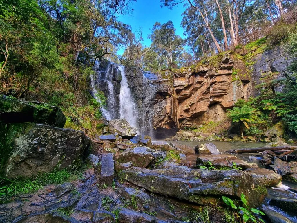 TakeShape Adventures - Otways-2.jpeg