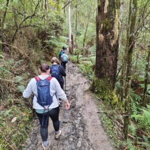 TakeShape Adventures - Otways-4.jpeg