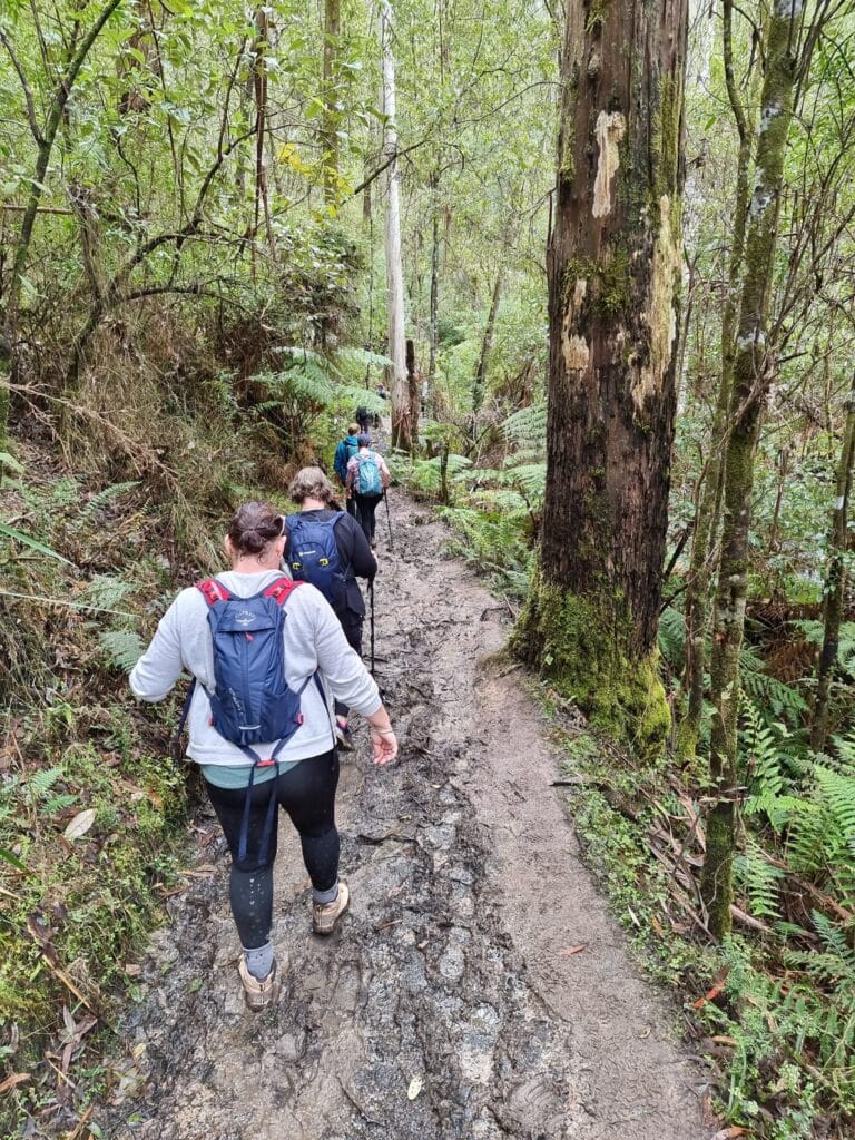 TakeShape Adventures - Otways-4.jpeg