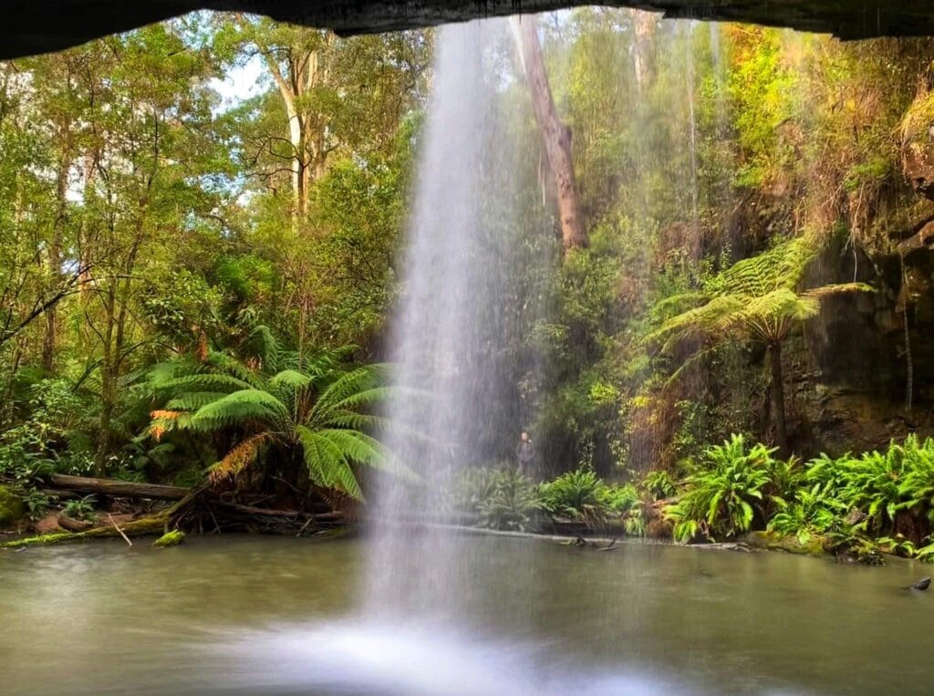 TakeShape Adventures - Otways-6.jpeg