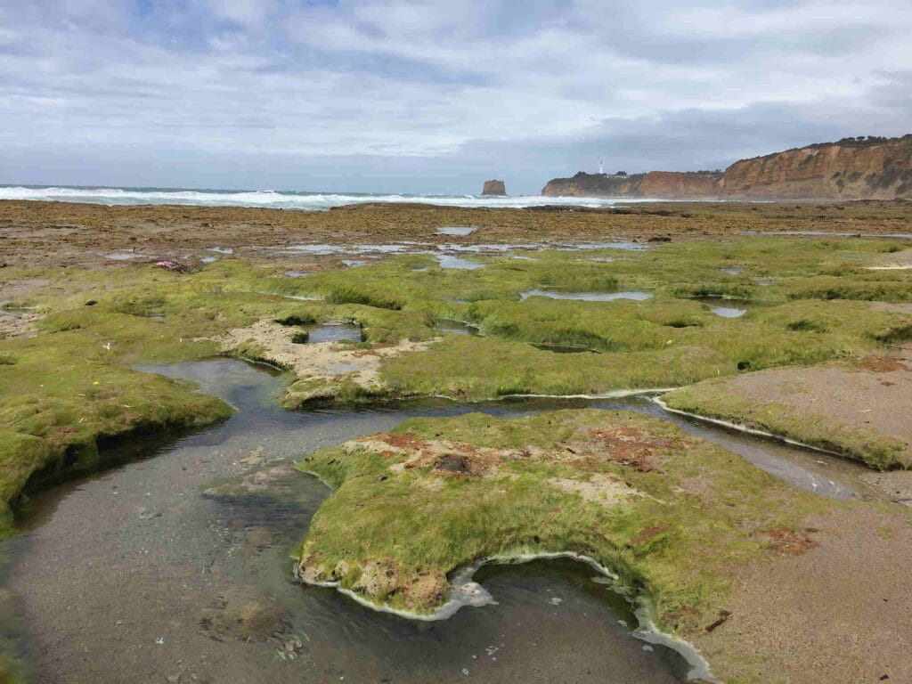 TakeShape Adventures - Point-Addis_DayHike_Rockpools1.jpg