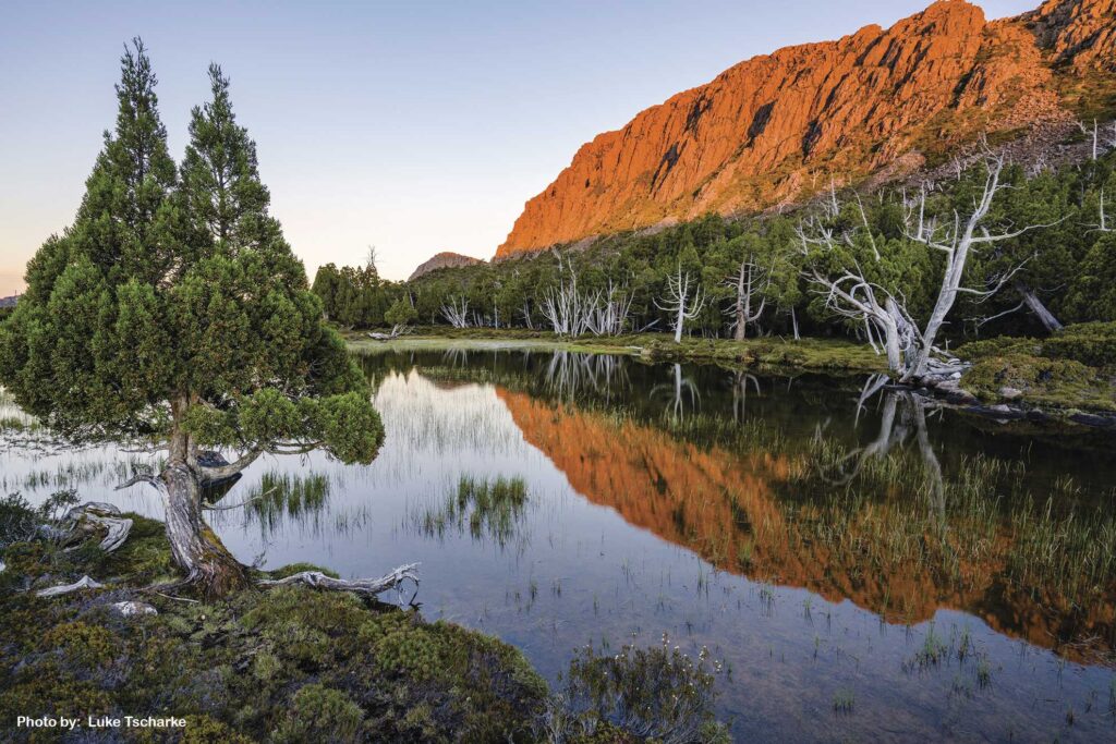 Our Team 1 Walls of jerusalem tasmania 61 1024x683 1