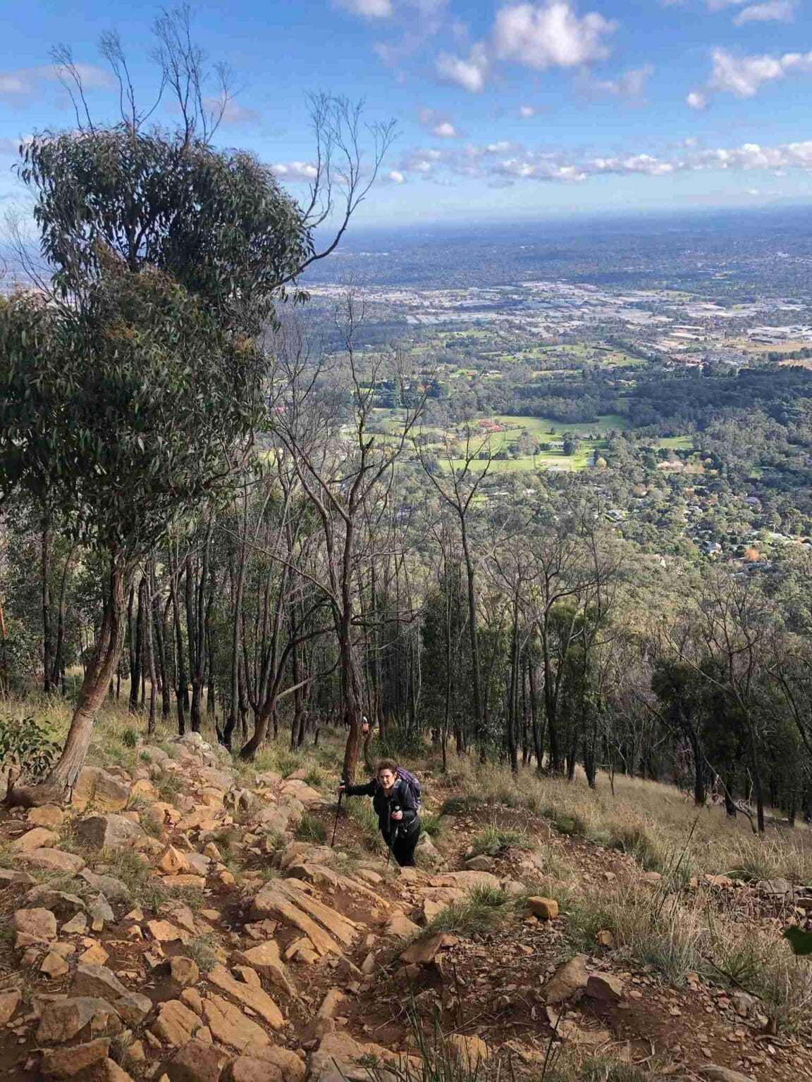 Dodds Track - Short Hike