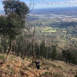 Dodds Track - Short Hike