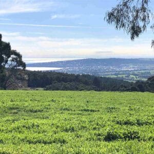 TakeShape Adventures - adventurefusion_redhillgourmet_views1.jpg