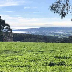 TakeShape Adventures - adventurefusion_redhillgourmet_views1.jpg