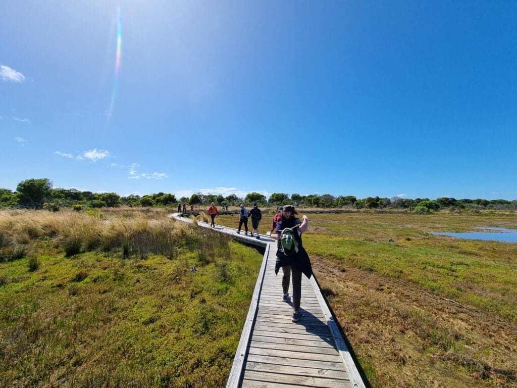 TakeShape Adventures - bellarine_scenery-5.jpg