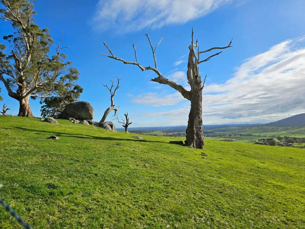 TakeShape Adventures - birdsland_scenery-3.jpg