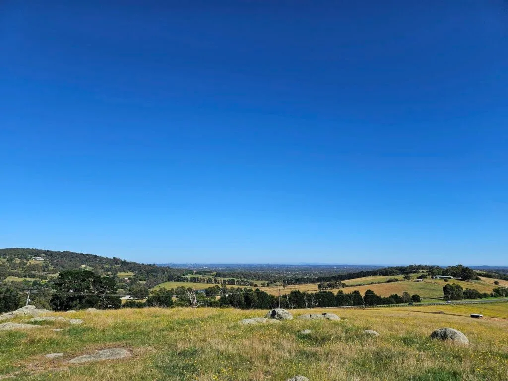 TakeShape Adventures - birdsland_scenery-6.jpg