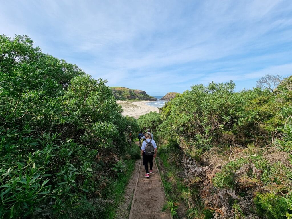 TakeShape Adventures - bush-bay-3.jpg