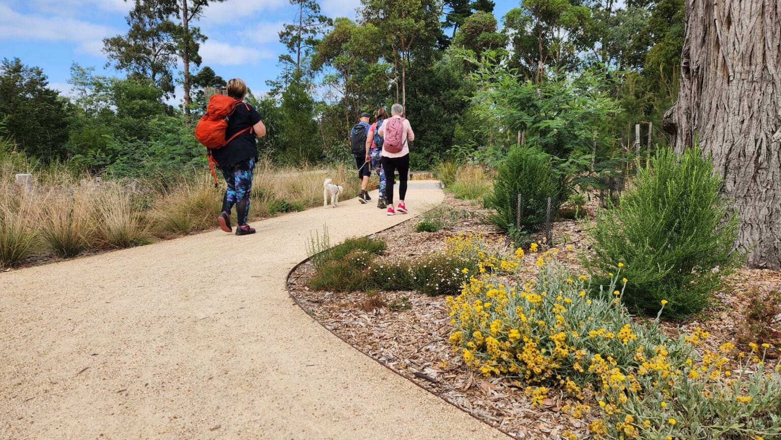 Candlebark Bush Loop - Short and Social Hike
