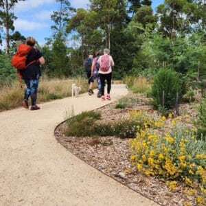 Candlebark Bush Loop - Short and Social Hike