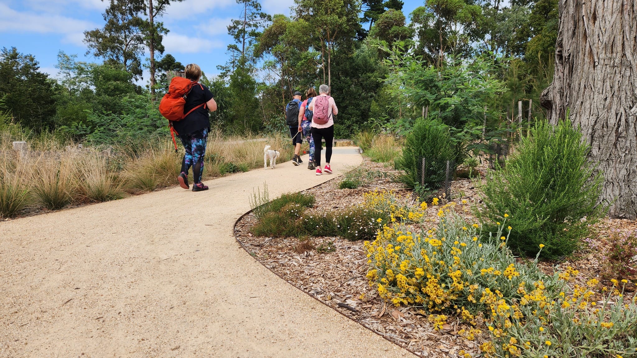 candlebark scenery 1