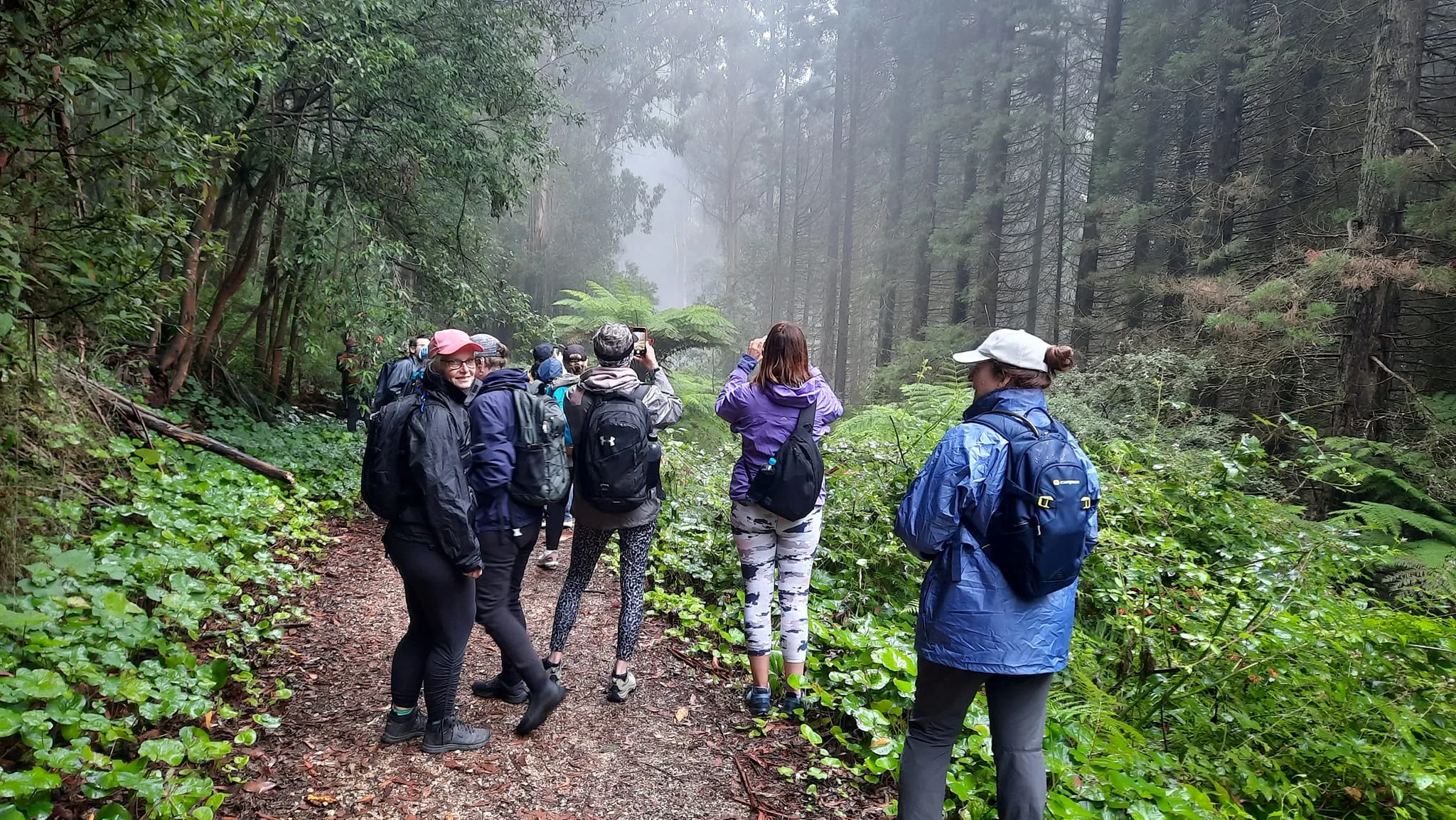 Hiking Hydration Questions, Answered 1 TakeShape Adventures - dandenongphotography-5.jpg