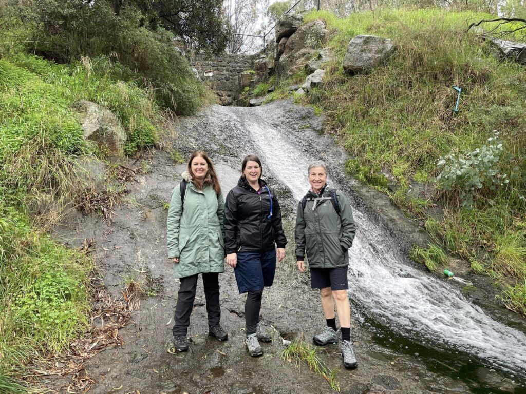 TakeShape Adventures - darebin-hike-3-june.jpeg
