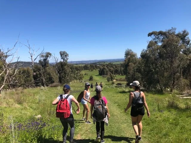 daywalk birdsland trail