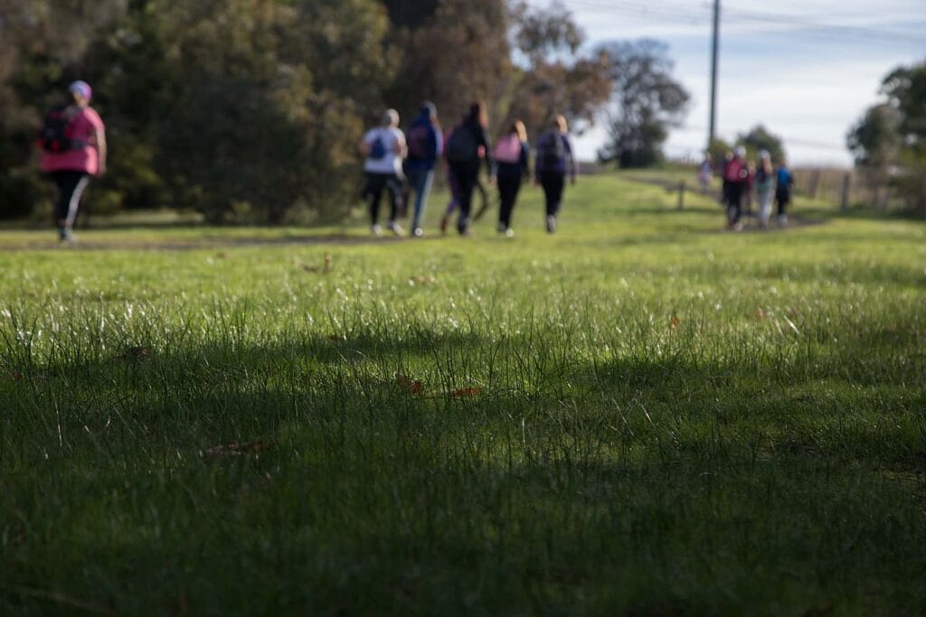 TakeShape Adventures - daywalk_plentygorge_scene1.jpg