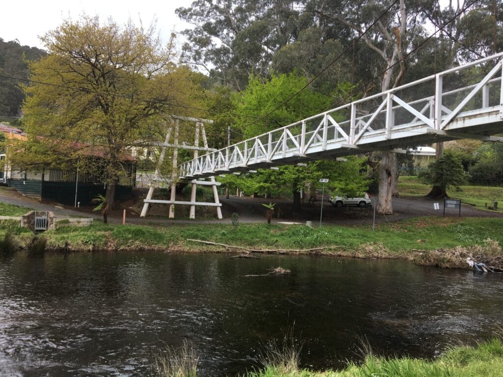 TakeShape Adventures - daywalk_warburton_scenery-scaled-1.jpg