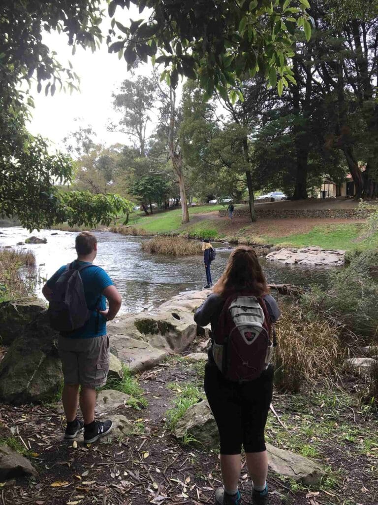 TakeShape Adventures - daywalk_warburton_walkers1-e1619054220630.jpg