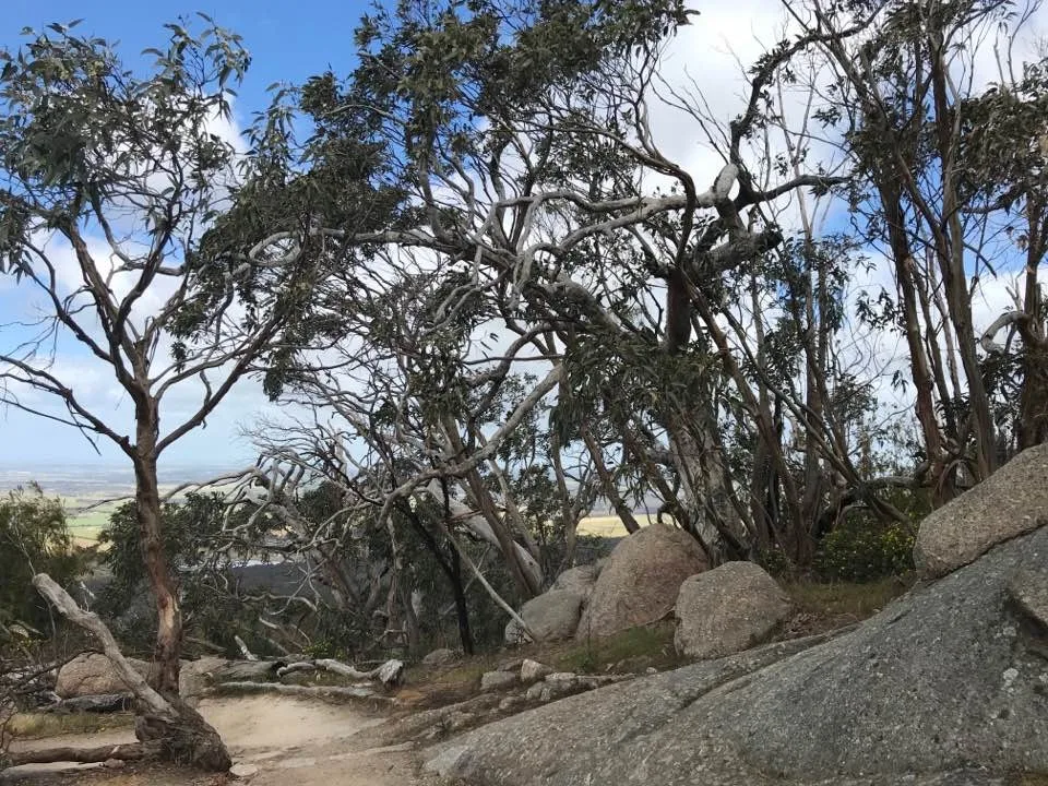 TakeShape Adventures - daywalk_youyangs_scene1.jpg