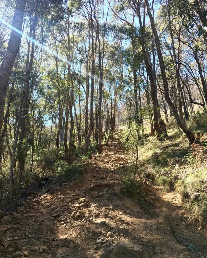 TakeShape Adventures - dodds_fitness_track1.jpg