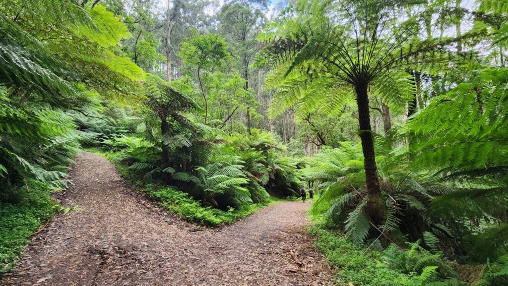 TakeShape Adventures - dodds_scenery-1.jpg
