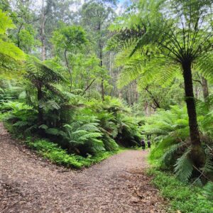 Alfred Nicholas Gardens Loop