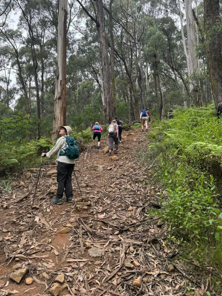 TakeShape Adventures - dodds_smphoto-1.jpg