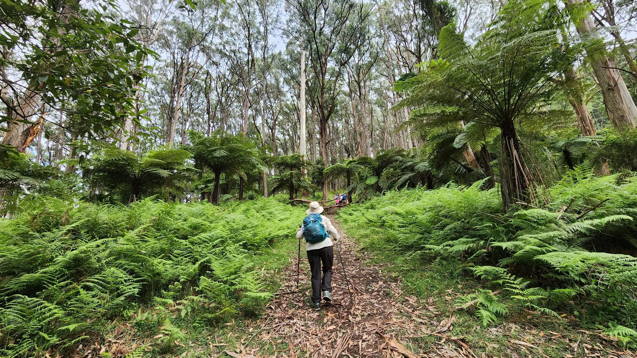 Alfred Nicholas Gardens Loop 1 TakeShape Adventures - dodds_smphoto-3.jpg