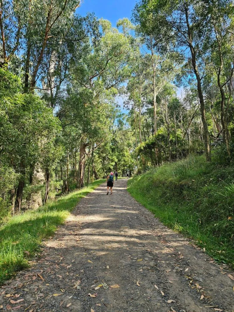 TakeShape Adventures - ferntreegully_smphoto-1.jpg