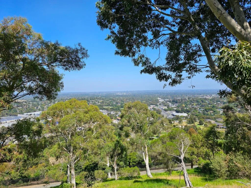 TakeShape Adventures - ferntreegully_smphoto-2.jpg