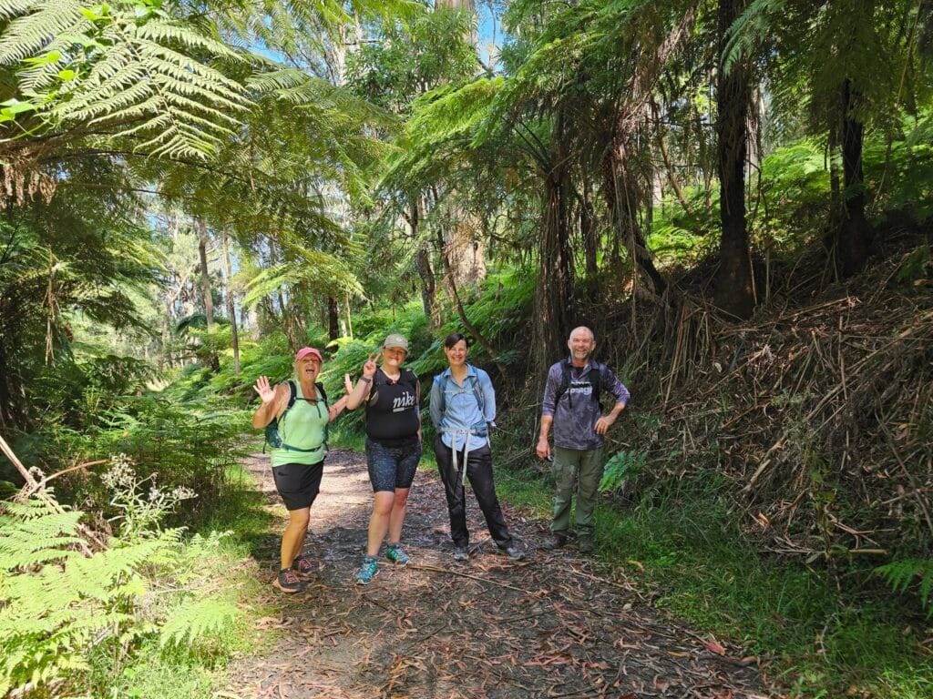 TakeShape Adventures - ferntreegully_smphoto-3.jpg