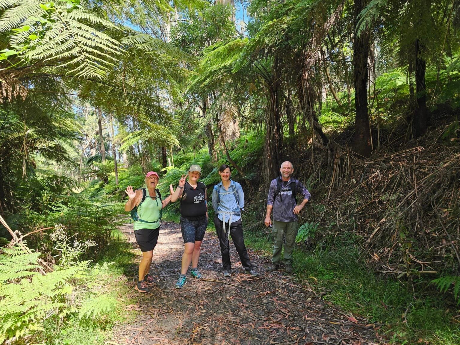 Ferntree Gully - Short and Social Hike