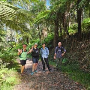 Ferntree Gully - Short and Social Hike