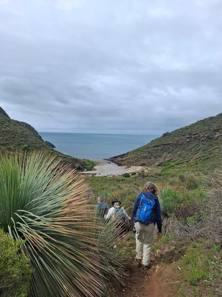 TakeShape Adventures - fleurieuOct2024_19.jpg