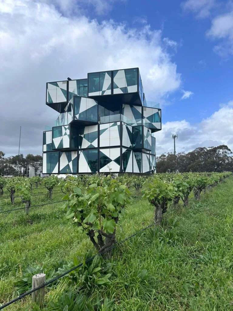 TakeShape Adventures - fleurieuOct2024_2.jpg