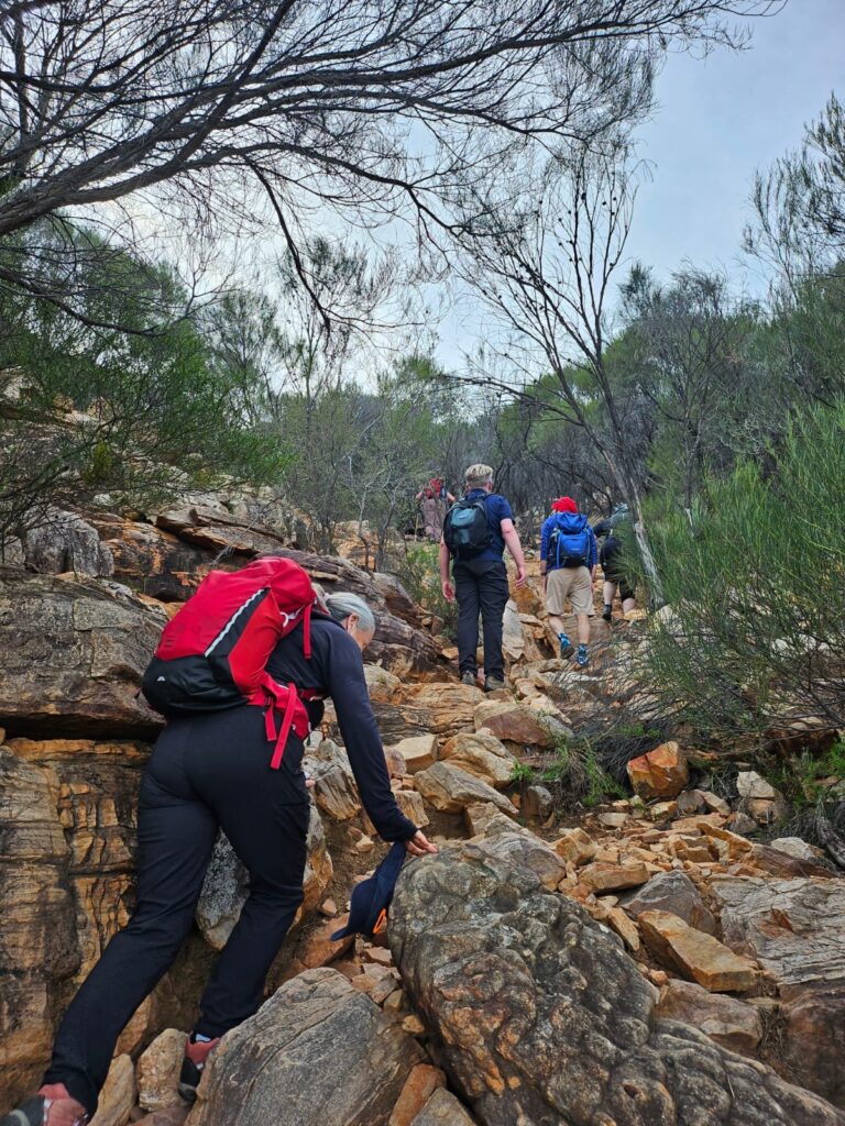 Add Adventure to Your Fitness Business 3 flindersranges 02082024 37 768x1024 1