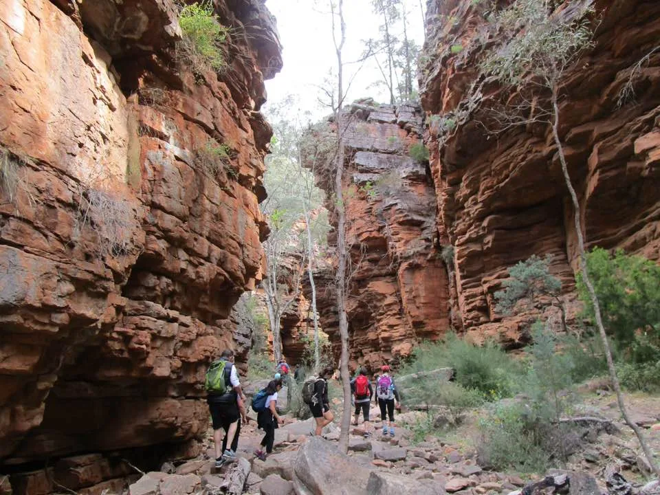 TakeShape Adventures - flindersranges_smphoto-2.jpg