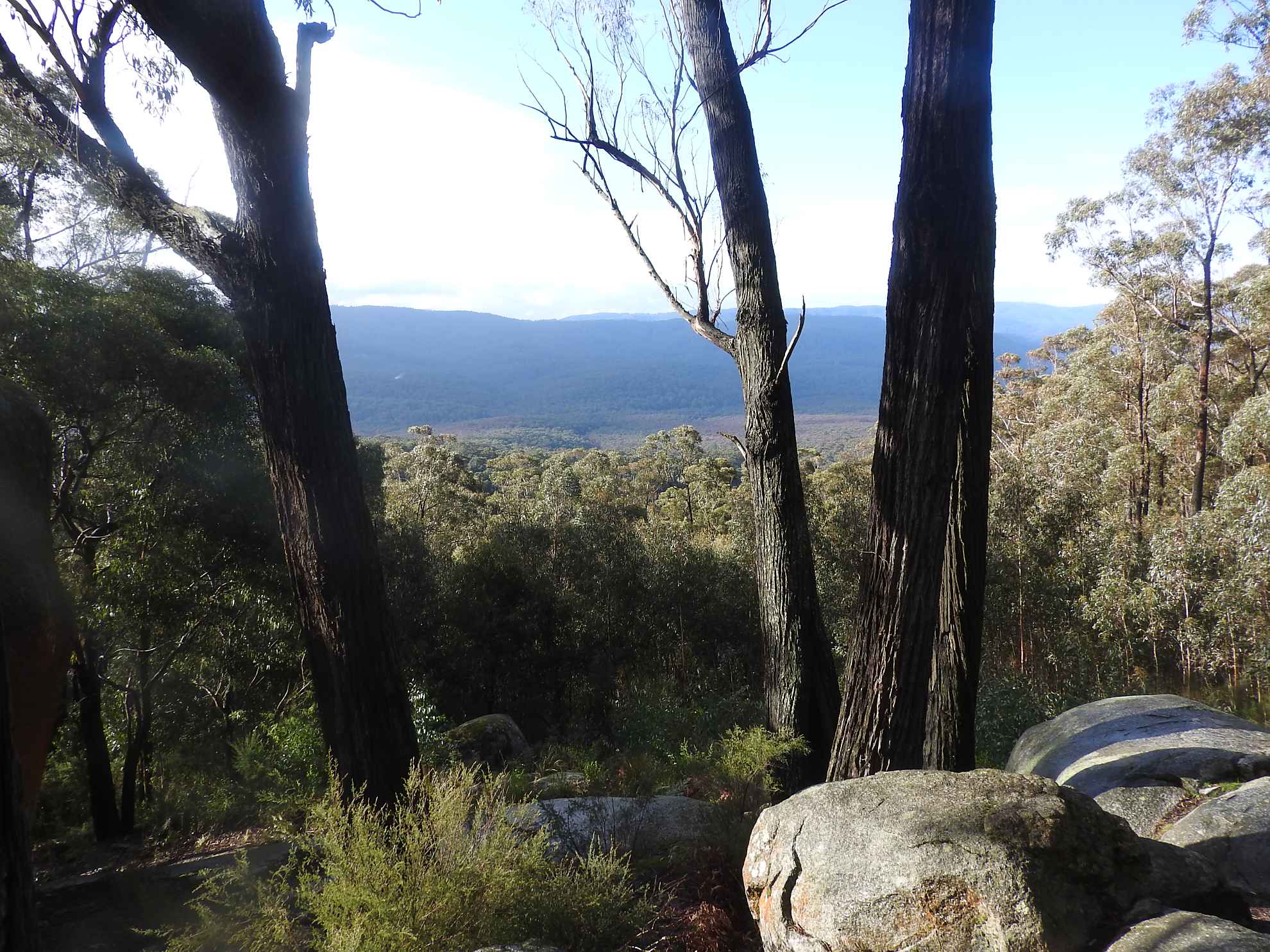 Four Brothers Walk - Gembrook 1 TakeShape Adventures - four_brothers_walk_vic_hike-101.jpg