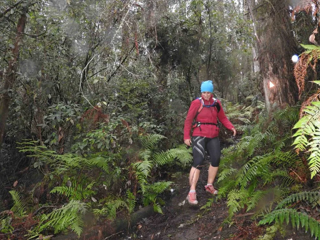 four brothers walk vic hike 111