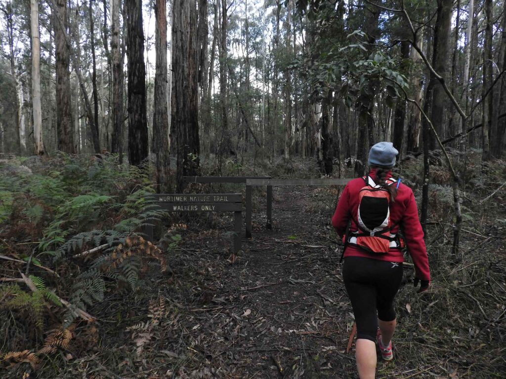 Turn Your Trust Inwards 2 four brothers walk vic hike 51