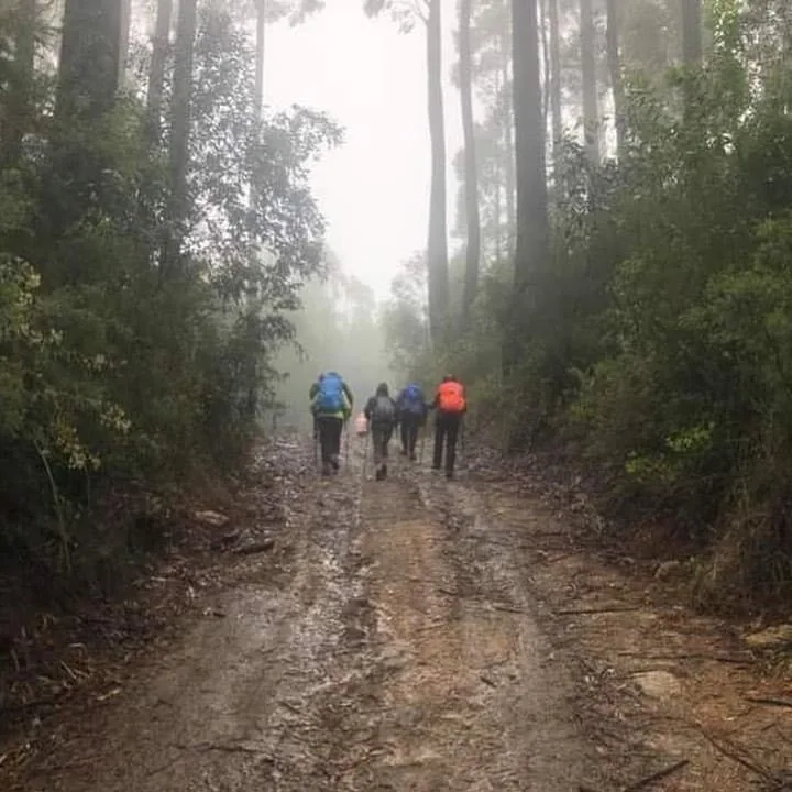 TakeShape Adventures - happyvalley_fitness_walking1.jpg