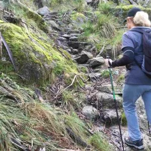 Victorian Day Hikes 11 TakeShape Adventures - kilcunda_DayHike_Track1-e1616967929665.jpg