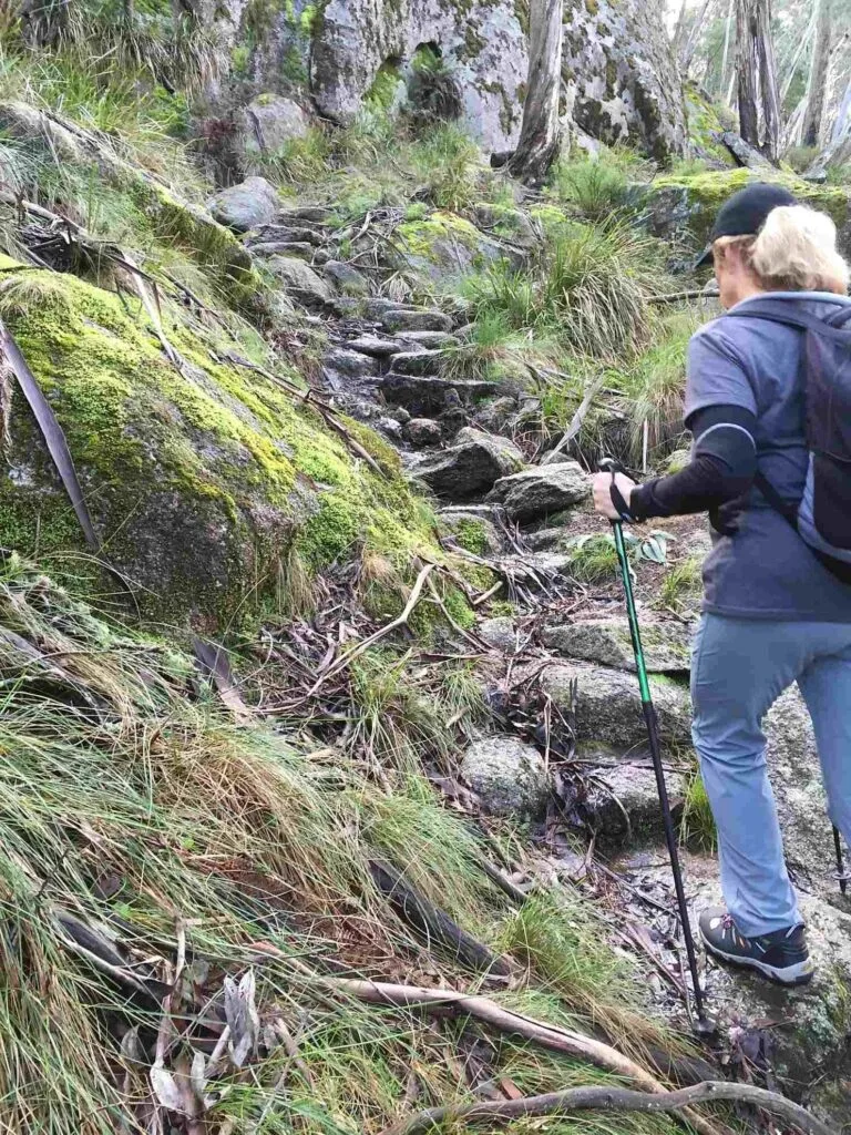 TakeShape Adventures - kilcunda_DayHike_Track1-e1616967929665.jpg