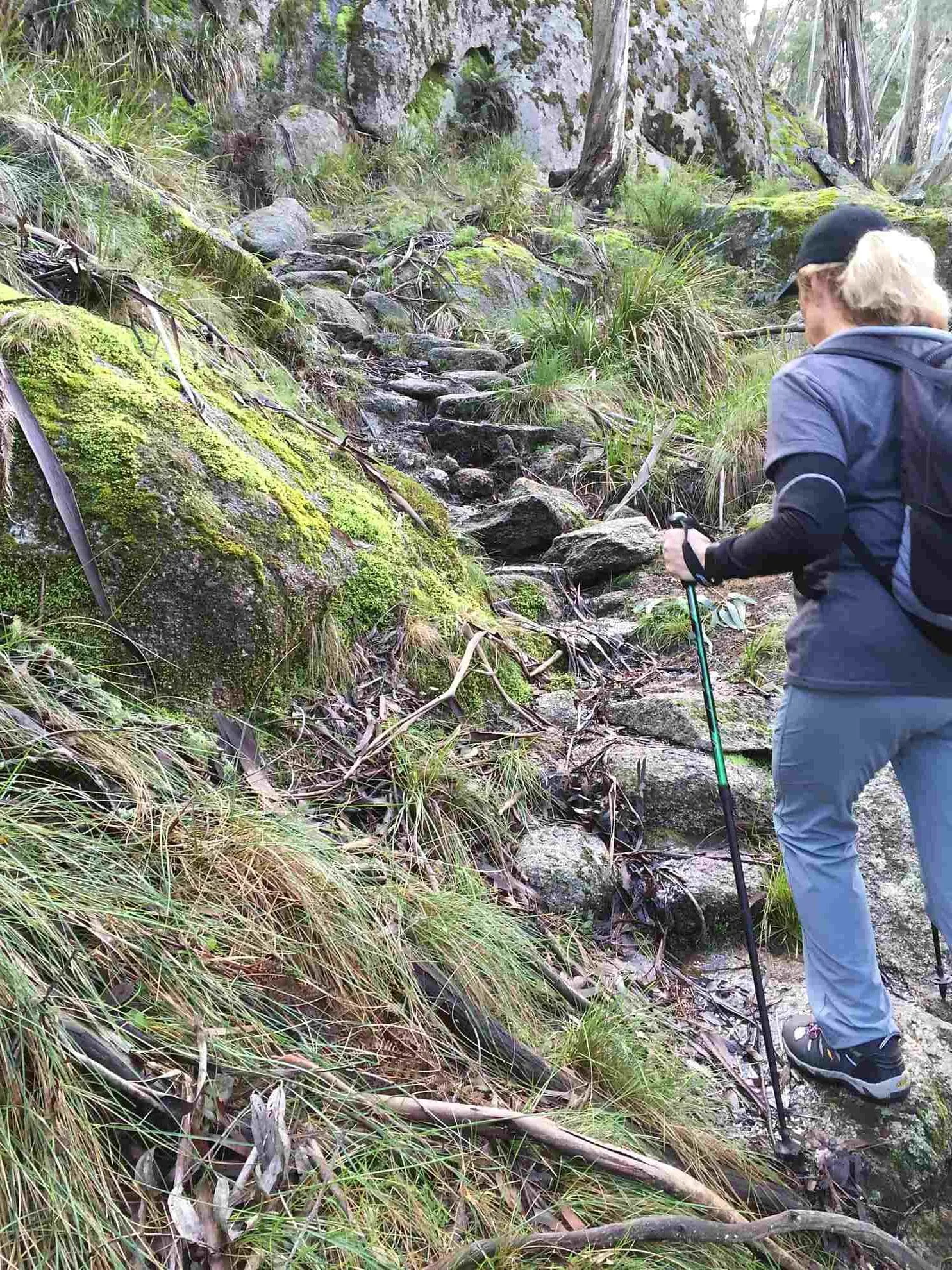 Kilcunda 1 TakeShape Adventures - kilcunda_DayHike_Track1-e1616967929665.jpg