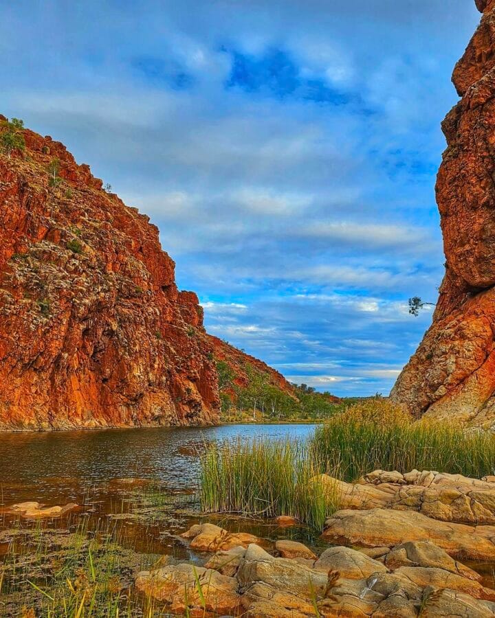 Walking Escapes 5 TakeShape Adventures - larapinta-june-1.5.jpeg