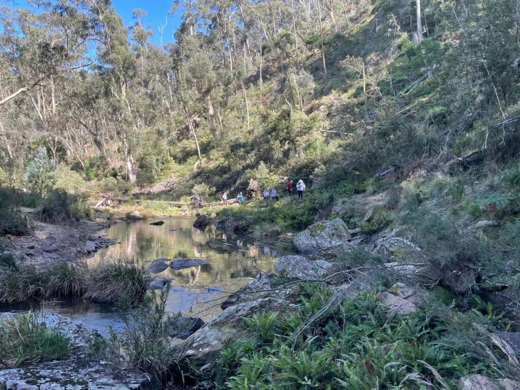 TakeShape Adventures - lerderderg-oct-1.7.jpeg