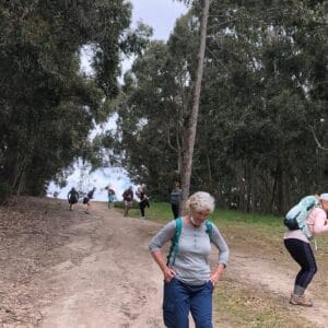 Lysterfield Big Loop