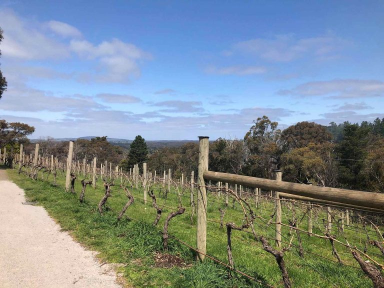 Gourmet Hikes 4 macedongourmet adventurefusion winery1 768x576 1