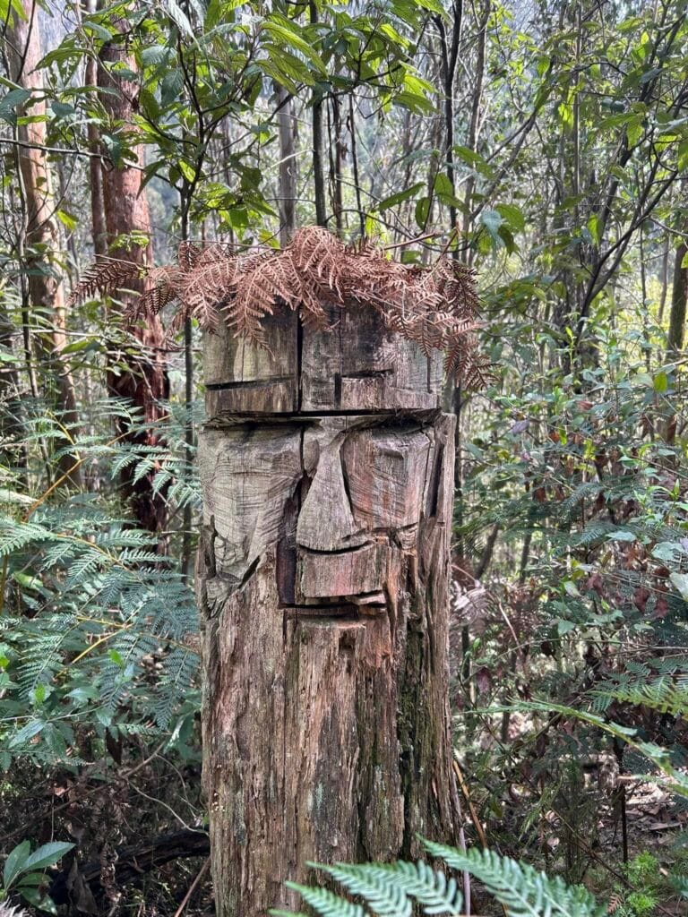 TakeShape Adventures - mason-falls.1.2.jpeg